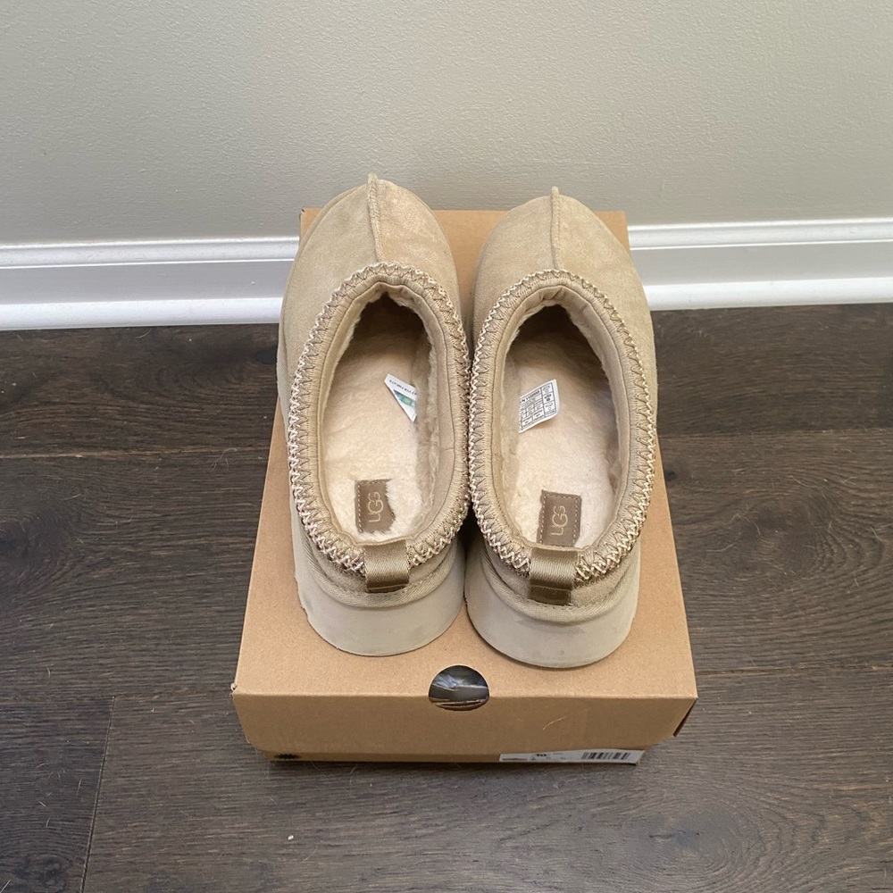 Ugg Tazz - mustard seed